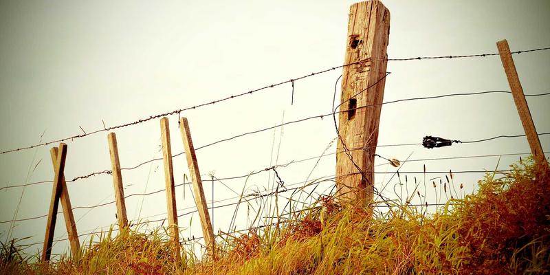 电子设备声音失真怎么办？音频设置修复指南